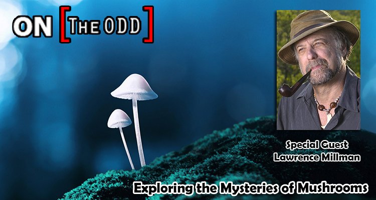 Exploring the Mysteries of Mushrooms